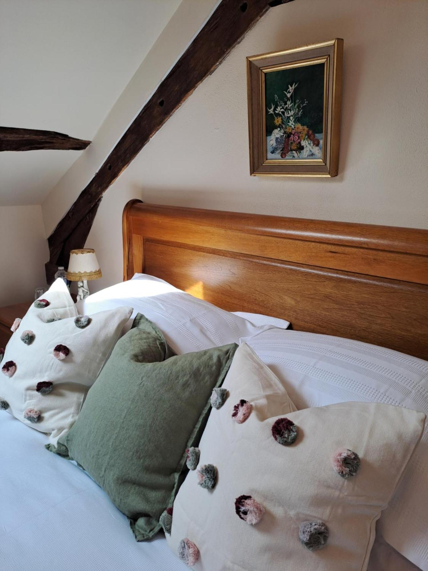 Chateau De Chambres Mont St Michel 圣詹姆斯 外观 照片
